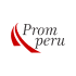 Aereopuertos andinos del Peru